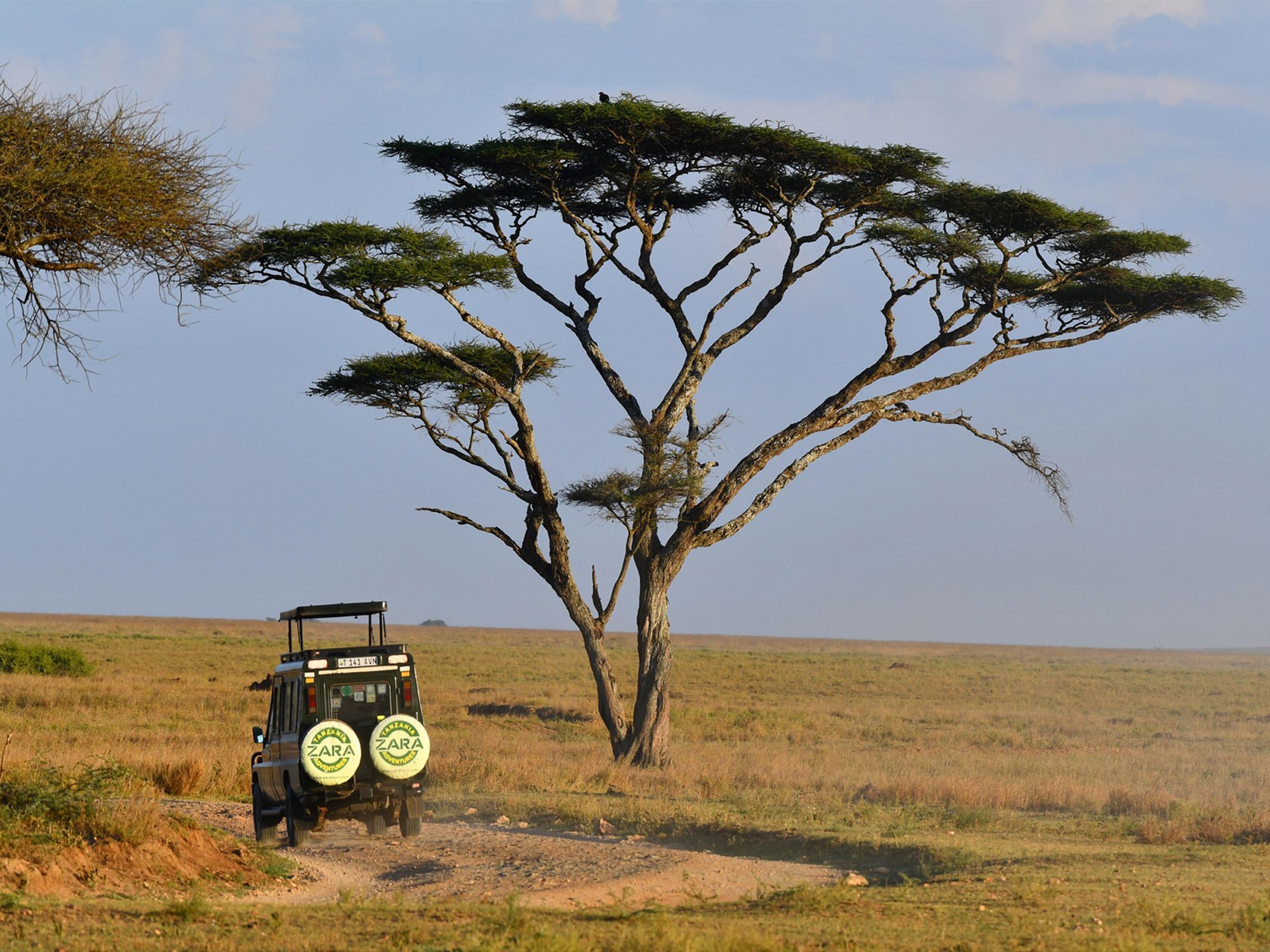 Serengeti Wildebeest Camp Hotel Buitenkant foto